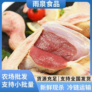 �������r�F�����w�������������������r�r��ɢ�B�ҟ������r������