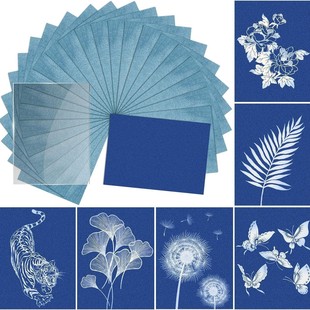 High Sensitive Sun Active Sun Printing Art Paper for Flower News Art Crafts DIY Project