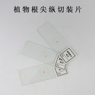 ������Ƭ���w�Ĵ�M���bƬ��ֲ�：����Ƭ�����@΢�R�^������