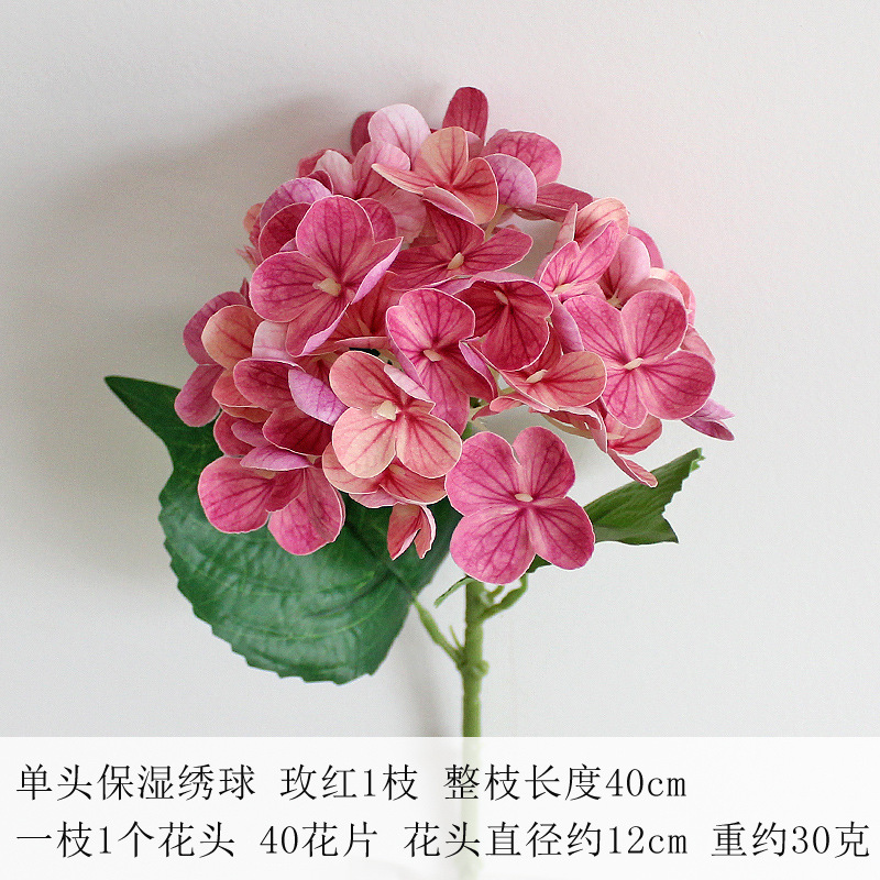 로즈 레드 (8호)