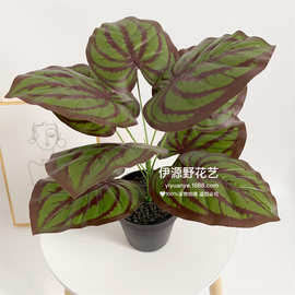 桌面盆景客厅装饰落地塑料假花摆设仿真植物龟背仿真绿植盆栽