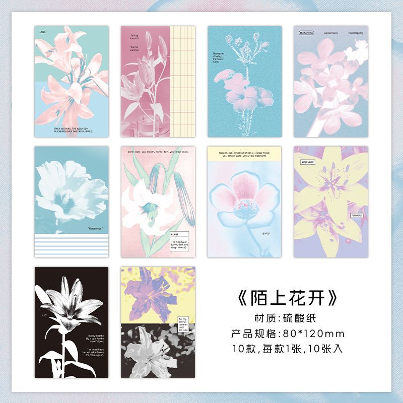 PaperMore素材包 慢热季节二弹 ins风A7活页本内页手帐背景打底纸|undefined