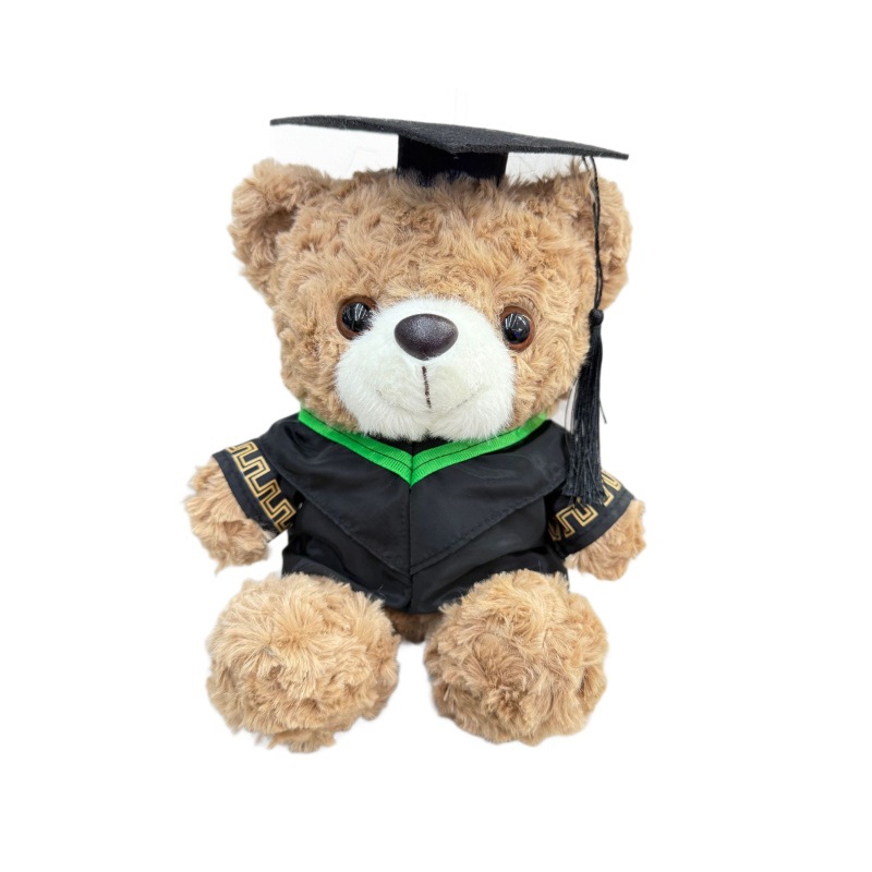Graduación Teddy Bear Puppy Doctor Teddy Bear School Print logotipo regalo de graduación