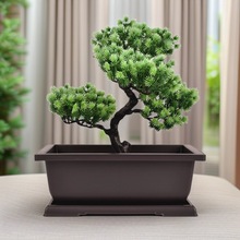 ����ɰ���� �¹Ŷ��⻨���������L�������ϻ��� С�����辰�Nֲ��