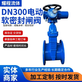 电动软密封闸阀Z945X-16QDN300 QT450市政给排水工程铸铁法兰闸阀