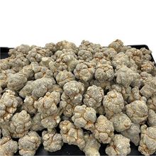 云南文山三七8头15头20头整个批发田七野生可帮磨超细粉切片