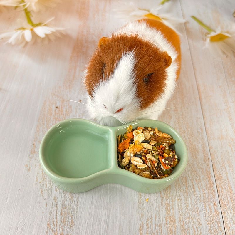 Parrot bowl hamster food basin non -staple food bowl mouse food bowl pet feed ceramic bowl gold silk bear feeder bird 3