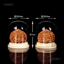 ������������Һ��J�ϙ��΢���^չʾ͸����������̫��