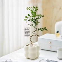 �F�������Čm�������մɻ��� ����INS�L�҃ȼҾ��b��������l