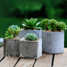 多肉绿植水泥花盆