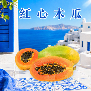 �V���t��ľ�� һ�����l2/3/5/8.5-9�����������Ŵ������rˮ��