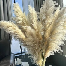 ��ɫ�JȔ�ɻ����Q�S�� ��̖�JȔ�ɻ� ��Y·�������bٻ����l