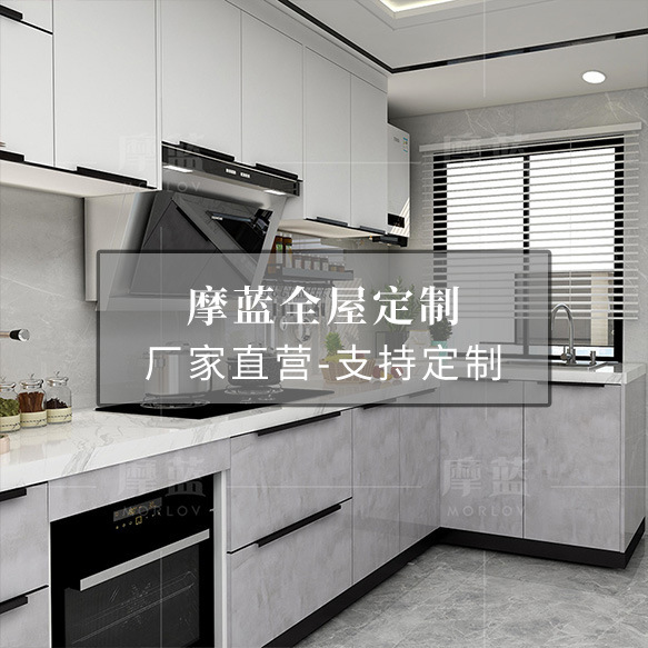 Whole House Dropshipping Integrated Cabinets Wardrobe Bookcases Modern Simple Accessible Luxury Factory Direct Sales Recruitment Agent