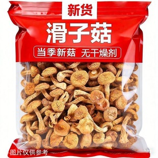 ���r���ӹ�����Ģʳ�þ��r���خaĢ�����蜫�ڸл�������������l