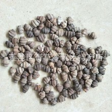 ������,������,�ౢ��,���l��ș��������,���J��ֲ�����ϵķN��
