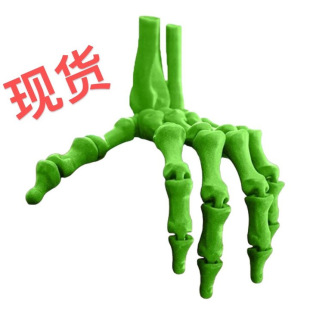�羳����վ����3D��ӡ���t�֒���f�}��ϵ�Є������kģ��