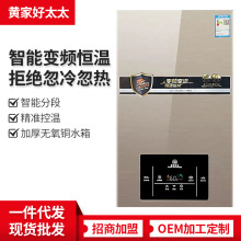 厂家批发家用燃气热水器天然气煤气液化气强排式自动恒温快速即热