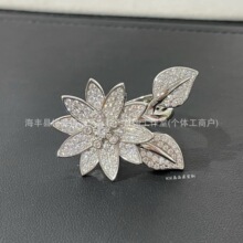 V������߼�������ɏ���M荽�ָС�����仨���p��ָ�h���S���l.