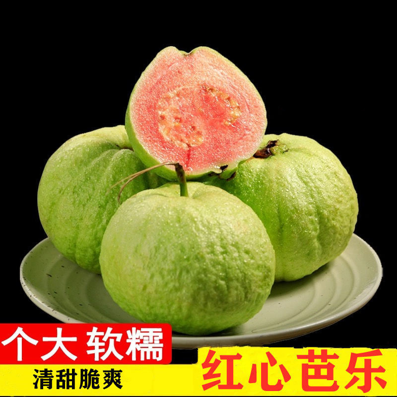 guava Red Guava fruit fresh Season Guava Softhearted pregnant woman Guangxi Full container