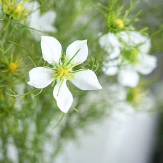仿真花黑种草餐桌小清新假花跨境热销绢花小丽花酒店装饰小雏菊