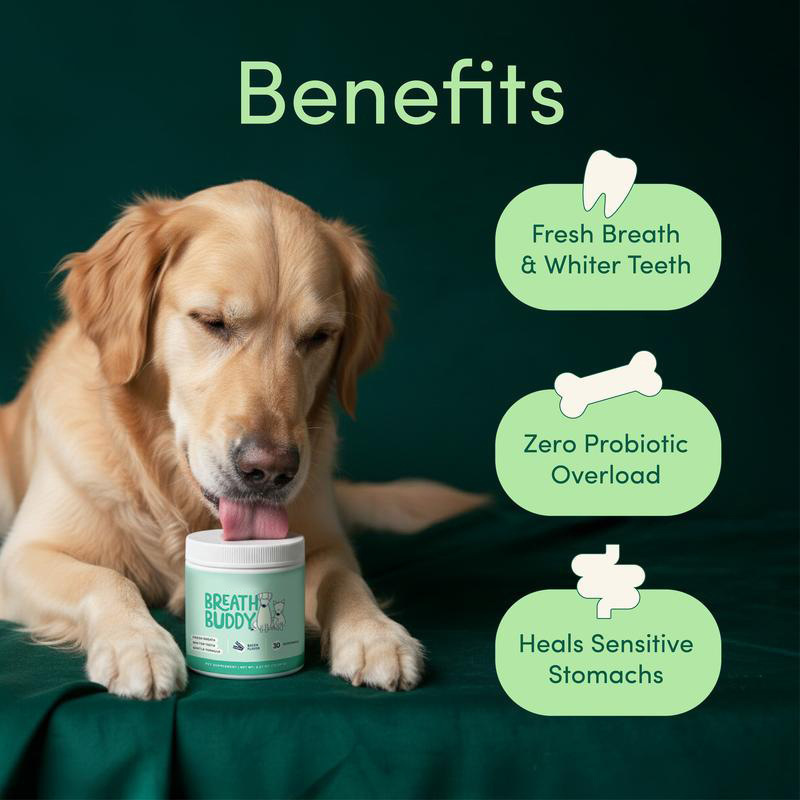New Product Tk Amazon Cross-Border Bestseller 75.54g Pet Oral Care Powder Breath Buddky Available for Oem New Product Tk Amazon Cross-Border Bestseller 75.54g Pet Oral Care Powder Breath Buddky Available for Oem