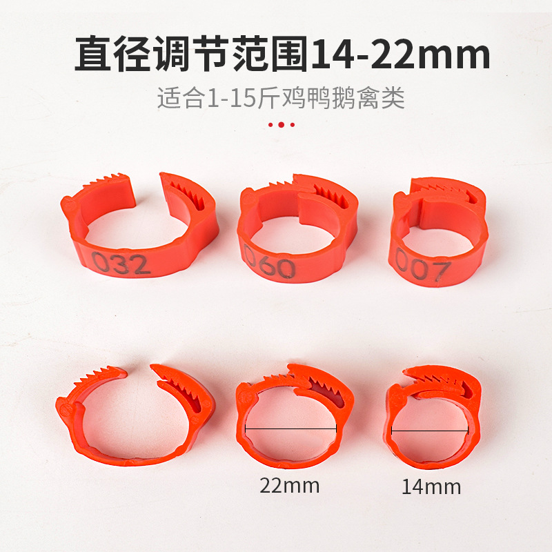 Anillo de pie de pollo tipo fichaje, anillo de pie ajustable, marca de identificación, anillo de etiqueta de plástico general para pollo