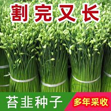 ļ̦·NӸ߮a²̦Nͺ͟ጣļ߲˷N