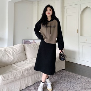 2025 New Autum Style French Platycodon Street Style Unique High-End Casual Suit Sweatshirt and Skirt Two-Piece Set