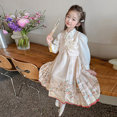 Princess Dress for Girls - Spring 2024 New Style Two-Piece Spring Outfit for Baby Girls - Chinese Style Dress for Children