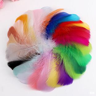 �S��ֱ�N �������|Ⱦɫ�Zë���h DIY��ɫ��ë��������ë�����ë