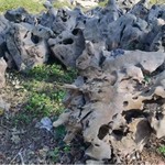 太湖石景观石头草坪石公园园林工程石料太湖石假山施工石天然石