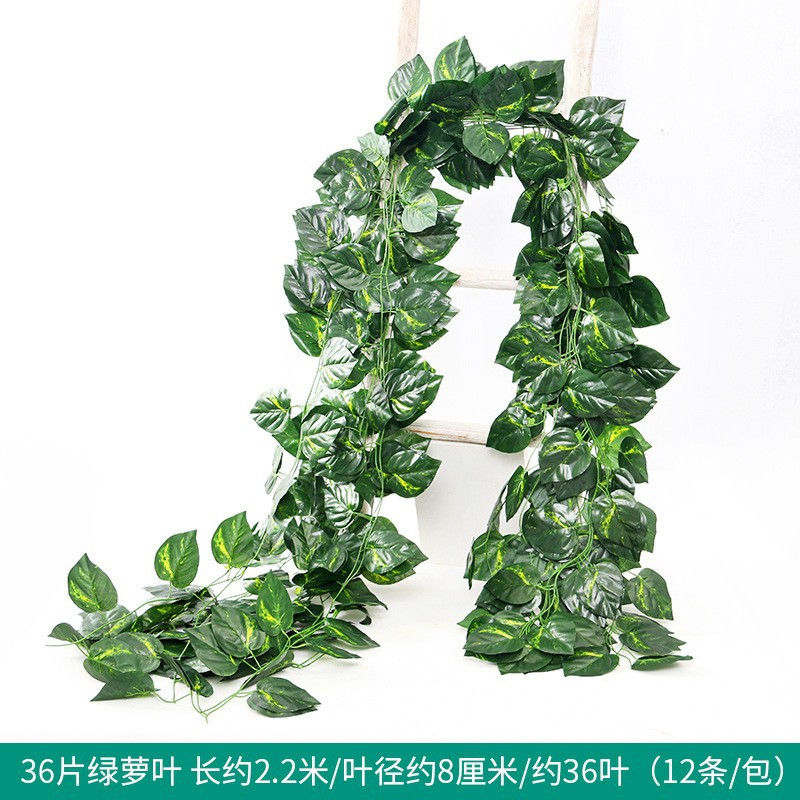 36 녹색 잎 1 팩 (12)