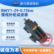 工厂热销型号BWY1-29-0.75kw摆线针轮减速器可加工应用于任何环境