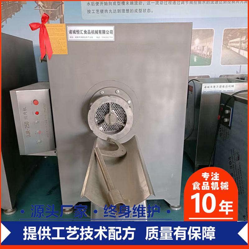 大型冻肉绞肉机200型不锈钢商用鲜肉绞肉机250冻盘破碎冻肉板绞切