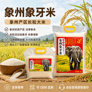 �V�����ش���24H�Fĥ�i�r5�������L�������׮������������L����