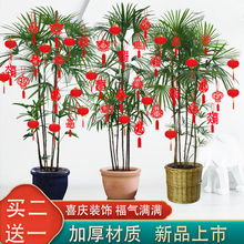 ����Ԫ���辰С���\����҃ȑ���ֲ���b���Ʒ�o���������������