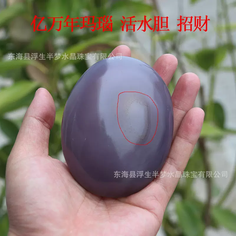 天然抛光水胆玛瑙把玩手把件水胆原石摆件活水胆送礼收藏奇石