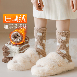 Coral socks women's winter thickened warm floor socks stockings autumn and winter mid-calf length socks women's fleece-lined confinement socks