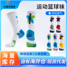 ����ʵս��������ë���׸�Ͳ�˶��ྫӢ��ѧ���߰�Ӻ��ܲ�����
