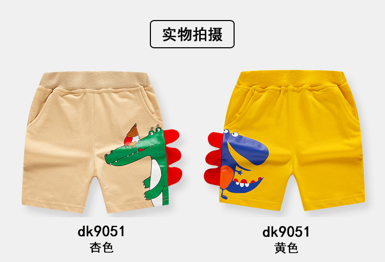 dk9051_07.jpg