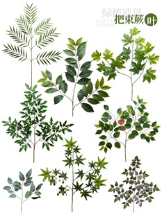 ֲ���쾰��Ć�֧�پGֲ�~���X�~���~�ۘǲ��̈��͏d�b���