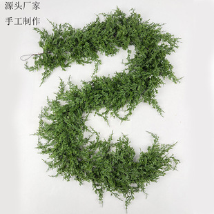 �}�Q���N���x���T�����ٗl�������Gɫմ�����~ͥԺ�����b���Ʒ