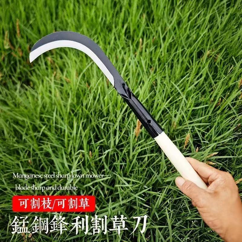 微信图片_20260330120808_277_28.jpg