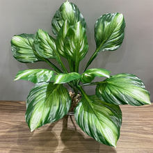 12�~�����~ֲ���ķ���G�}�쾰�b��~һ���L��f���೬����