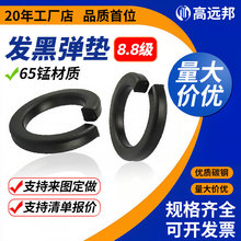 �F؛ȫҎ��8.8�����|/GB93���ɉ|Ȧ/���_�|Ȧ/�_�ډ|ȦM3/4/5-72