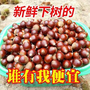 ���T�F�������F�������r�A�ΰ����F�����Ӽ��F�ӈA�F���l