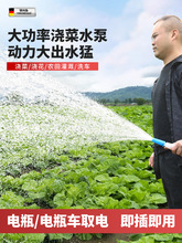 直流潜水泵12v电瓶24电动车48专用60抽水泵72v通用农用灌溉机小型