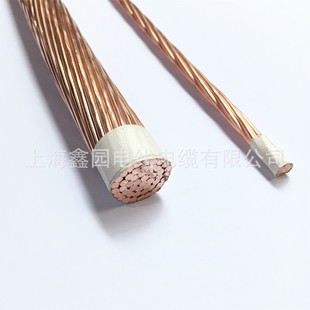 Yellow-Green/Lightning Protection Grounding Copper Stranded Wire Tj16/25/35/50/70-19 Old Store Shanghai Cable Source Factory
