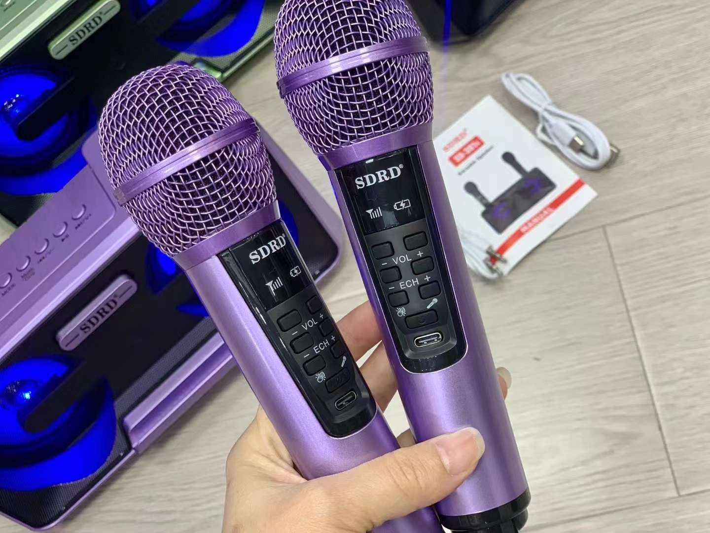 Cross-border SD301S Bluetooth Speaker Home Use, Portable Wireless Microphone, Integrated Audio System For Mobile Karaoke_voghion.com
