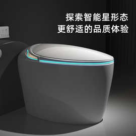 高奢蛋形智能马桶全自动感应翻盖遥控坐便器高楼层无水压限制马桶